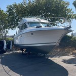 Jeanneau Prestige 36 Fly 36 | Jacht makelaar | Shipcar Yachts