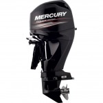  mercury f50 elpt efi foto Boten kopen | Jachten verkopen | Botengids.nl