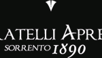 Cantiere Navale Fratelli Aprea Yachts | Boten kopen | Jachten verkopen | Botengids.nl
