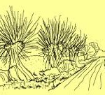 Camping Jachthaven Oosterbeeks Rijnoever | Boten kopen | Jachten verkopen | Botengids.nl